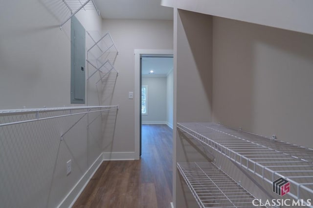 spacious closet featuring dark wood-type flooring and electric panel