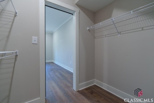 walk in closet with dark hardwood / wood-style floors