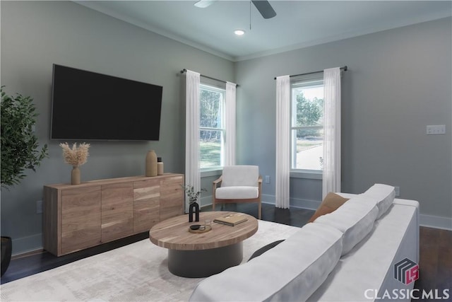 living room featuring ceiling fan and dark hardwood / wood-style flooring