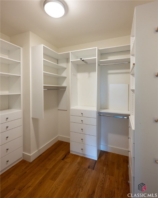 spacious closet featuring dark hardwood / wood-style flooring