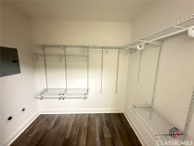 walk in closet featuring electric panel and dark wood-type flooring