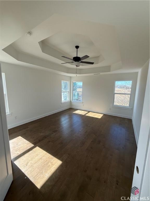 spare room featuring dark wood-type flooring, plenty of natural light, and a raised ceiling