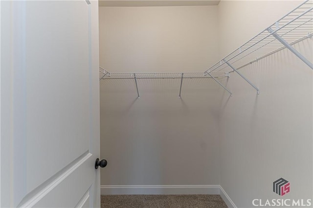 view of walk in closet