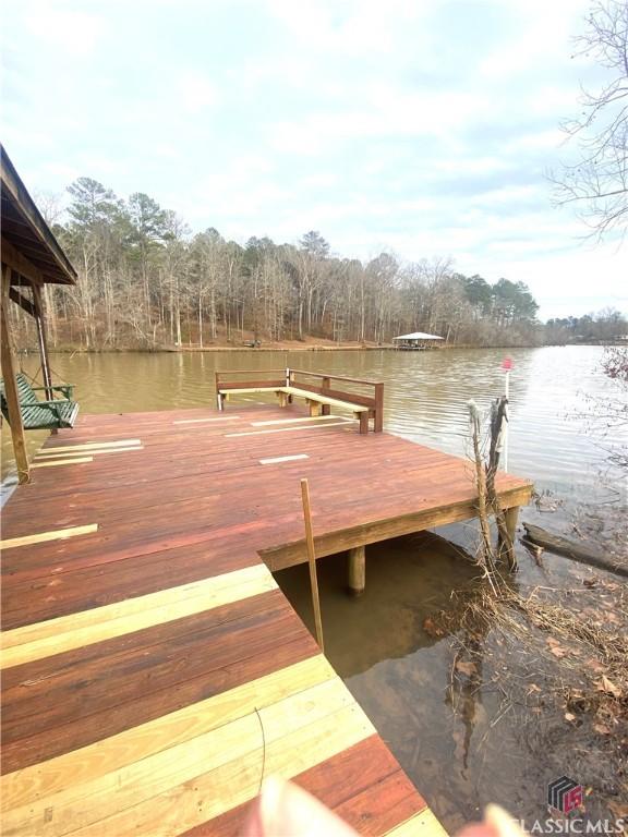 dock area with a water view