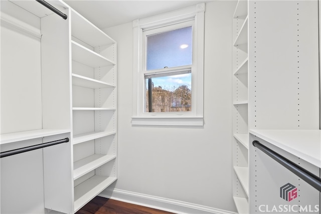 walk in closet with dark wood-style flooring