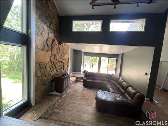 living room with hardwood / wood-style floors and plenty of natural light