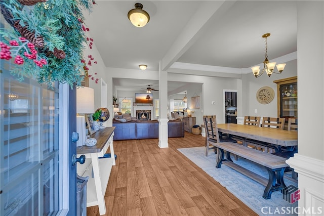 entryway with a lit fireplace, ornamental molding, light wood-style flooring, and ceiling fan with notable chandelier