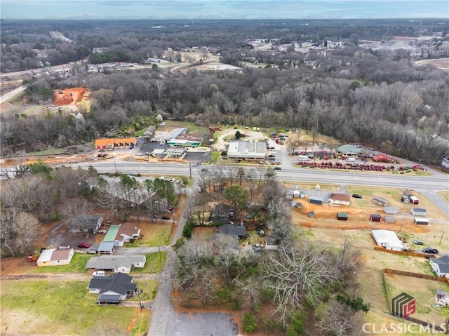 bird's eye view