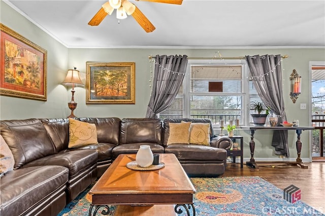 living room featuring wood-type flooring, ceiling fan, and crown molding