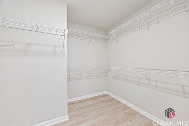 walk in closet with wood-type flooring