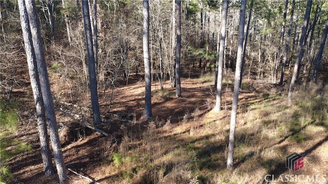 1051 Bluff Rd, Elberton GA, 30635 land for sale