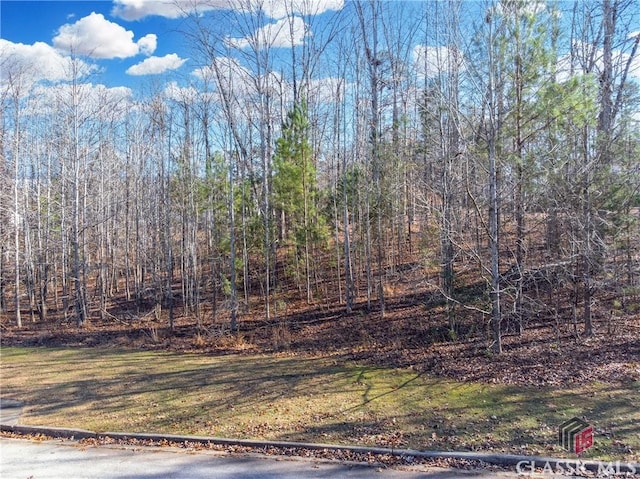 Listing photo 3 for 564 Bear Creek Ln, Bogart GA 30622