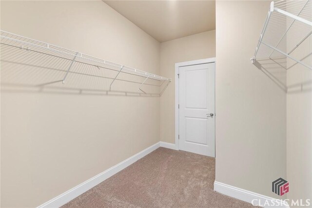 1745 Silo Bnd Unit 16, Watkinsville, GA 30677 - walk in closet with carpet floors