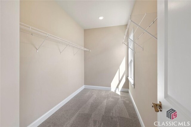 1745 Silo Bnd Unit 16, Watkinsville, GA 30677 - spacious closet featuring carpet flooring