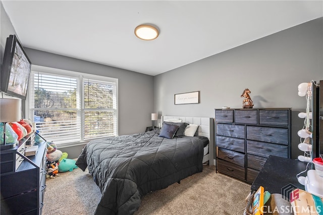 bedroom with carpet floors