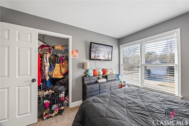 bedroom with a closet and carpet