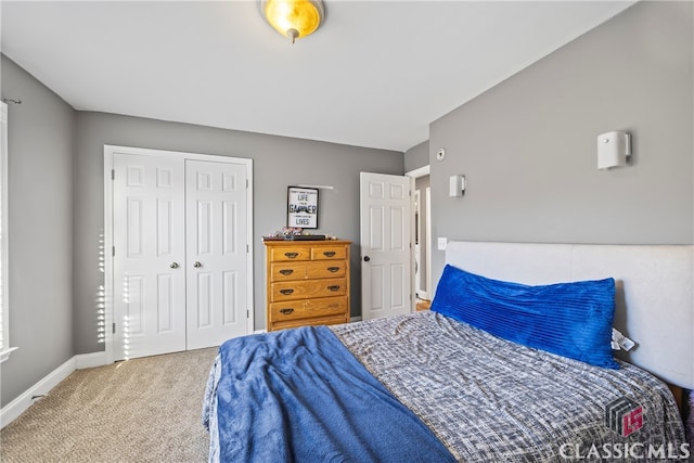 bedroom featuring carpet and a closet