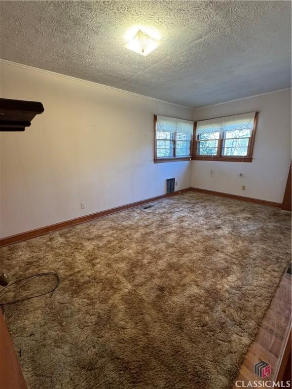 empty room with carpet and a textured ceiling