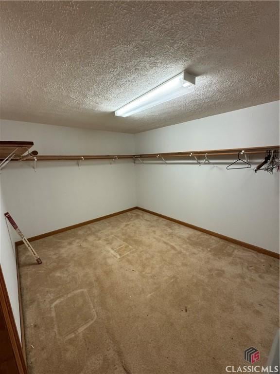 spacious closet with carpet flooring