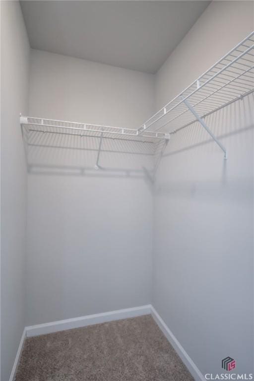 walk in closet with carpet