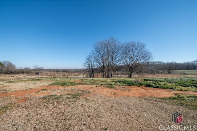 view of yard featuring a rural view