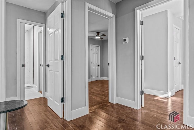 hall featuring dark hardwood / wood-style floors