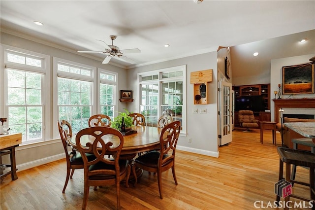 dining room featuring ceiling fan, crown molding, and light hardwood / wood-style flooring