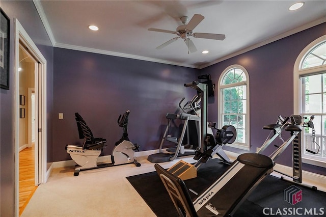 exercise room with carpet, ceiling fan, ornamental molding, and a wealth of natural light