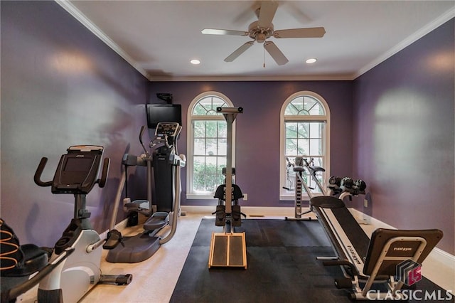 workout room with ceiling fan and crown molding