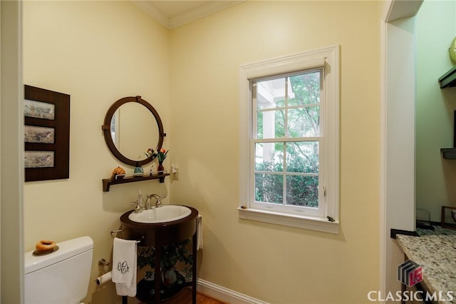 bathroom featuring vanity, toilet, and ornamental molding