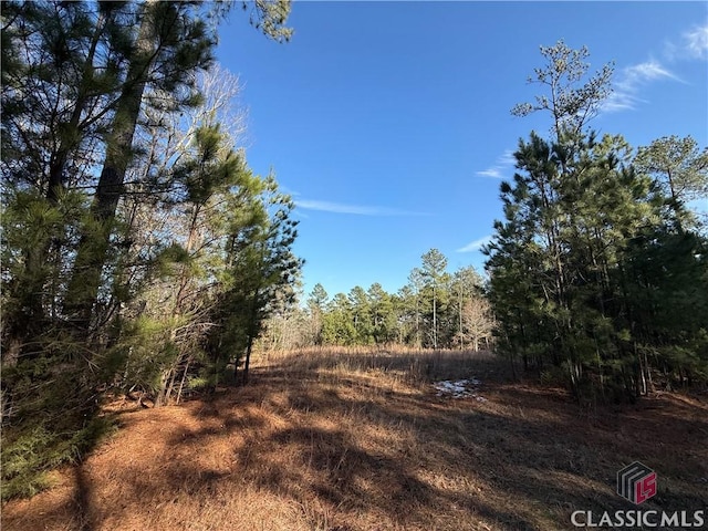 0 Hornets Bridge Dr, Elberton GA, 30635 land for sale