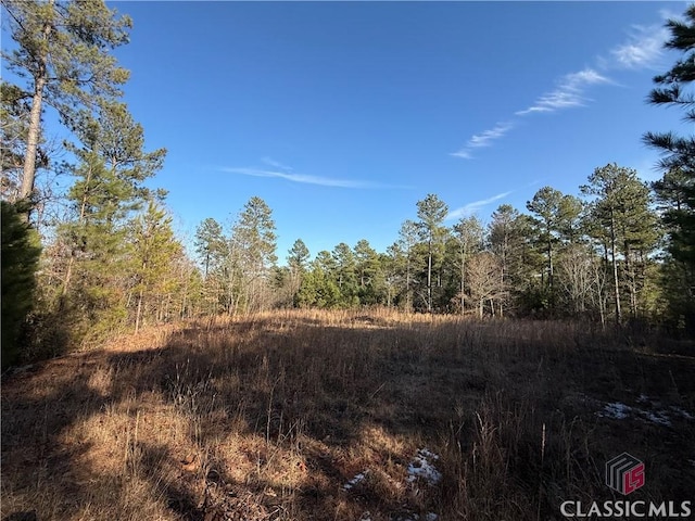 Listing photo 2 for 0 Hornets Bridge Dr, Elberton GA 30635