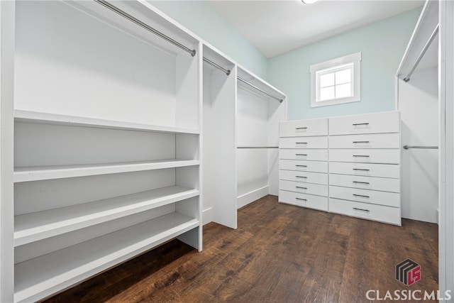 walk in closet with dark hardwood / wood-style floors