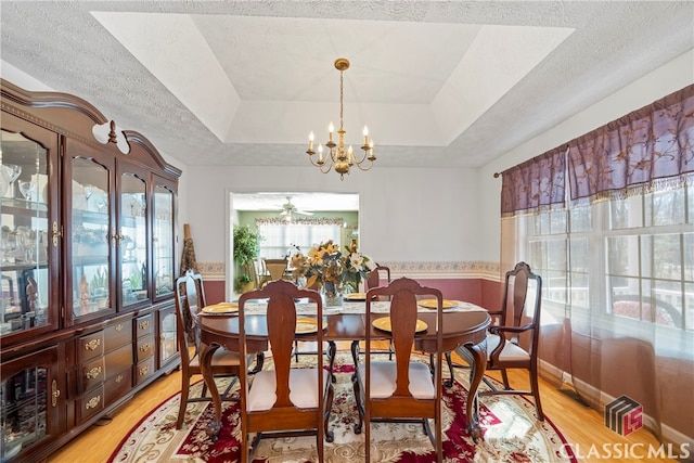 dining area with light hardwood / wood-style floors, ceiling fan with notable chandelier, a raised ceiling, and a textured ceiling