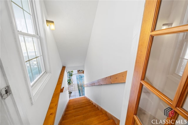 stairs featuring wood-type flooring