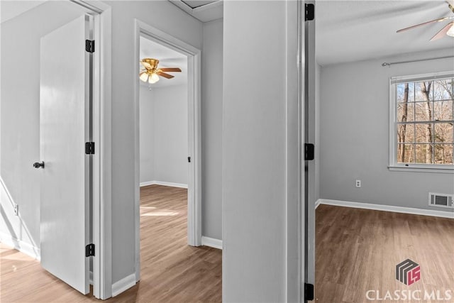 hall featuring light hardwood / wood-style floors