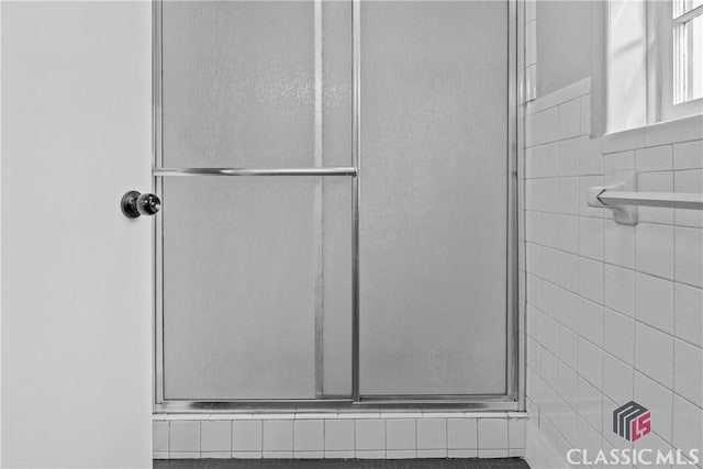 room details with a shower with shower door