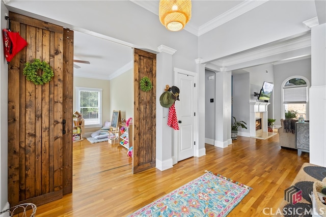 entryway featuring ceiling fan, hardwood / wood-style floors, and ornamental molding