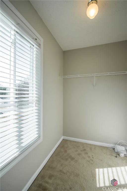 spacious closet with carpet