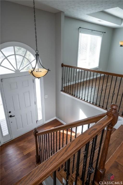 foyer with dark hardwood / wood-style flooring