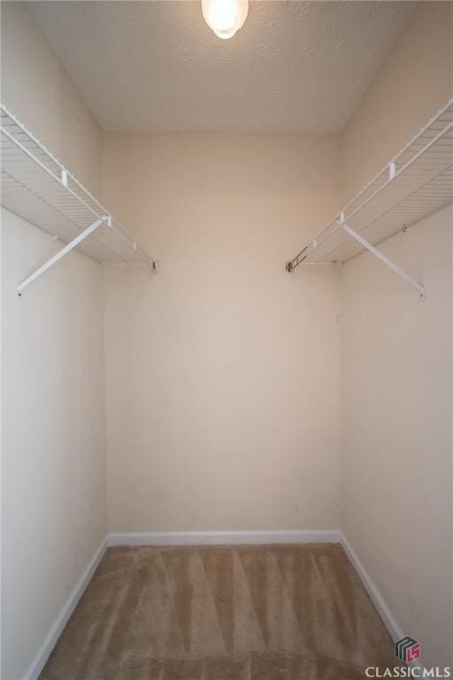 walk in closet featuring carpet floors