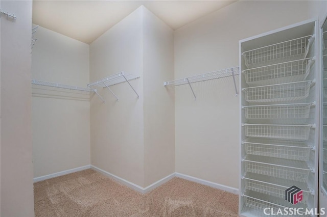 spacious closet featuring light colored carpet