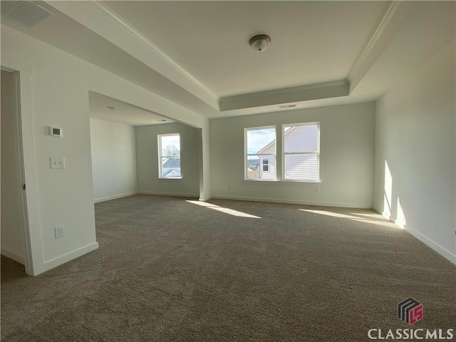 empty room with carpet flooring, crown molding, and a raised ceiling