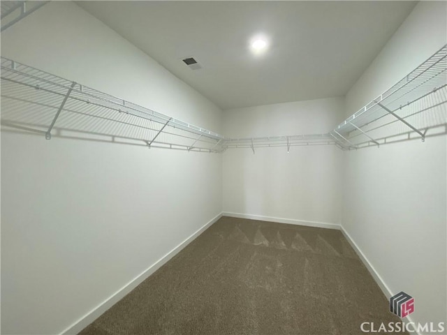 walk in closet with dark colored carpet