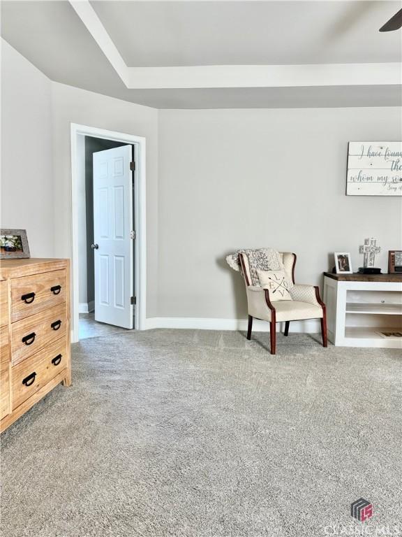 living area featuring carpet flooring