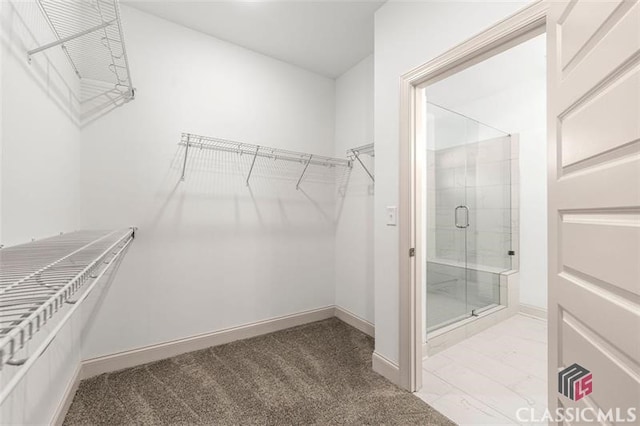 spacious closet featuring light carpet