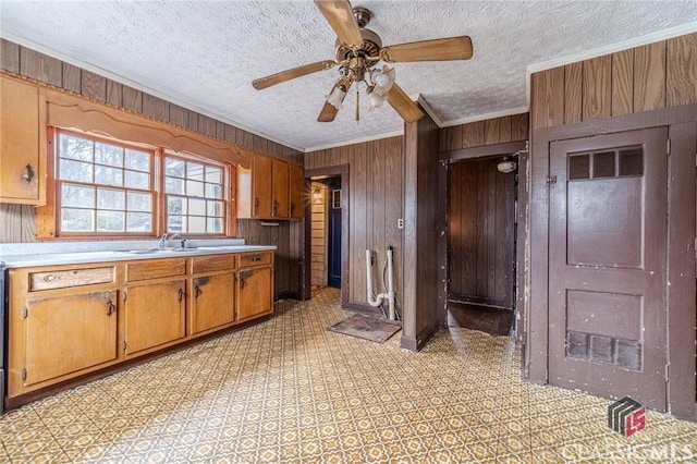 kitchen with crown molding, sink, a textured ceiling, and wood walls