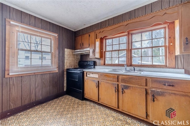 kitchen with sink, crown molding, a textured ceiling, black / electric stove, and wooden walls