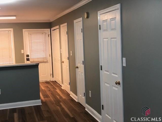 corridor with crown molding and dark hardwood / wood-style floors