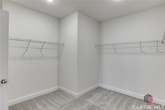 walk in closet featuring light colored carpet